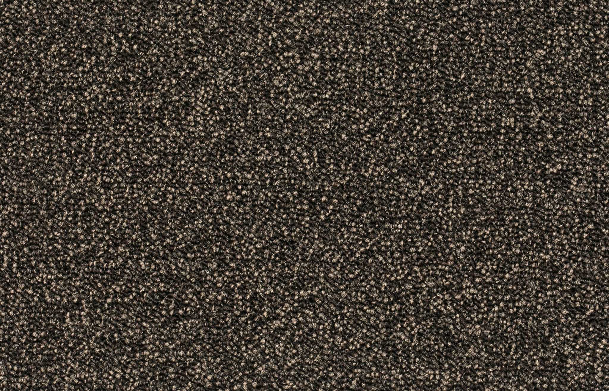 Afbeelding van Format 25 Tapijt PINOLI 500cm Kleur 45
