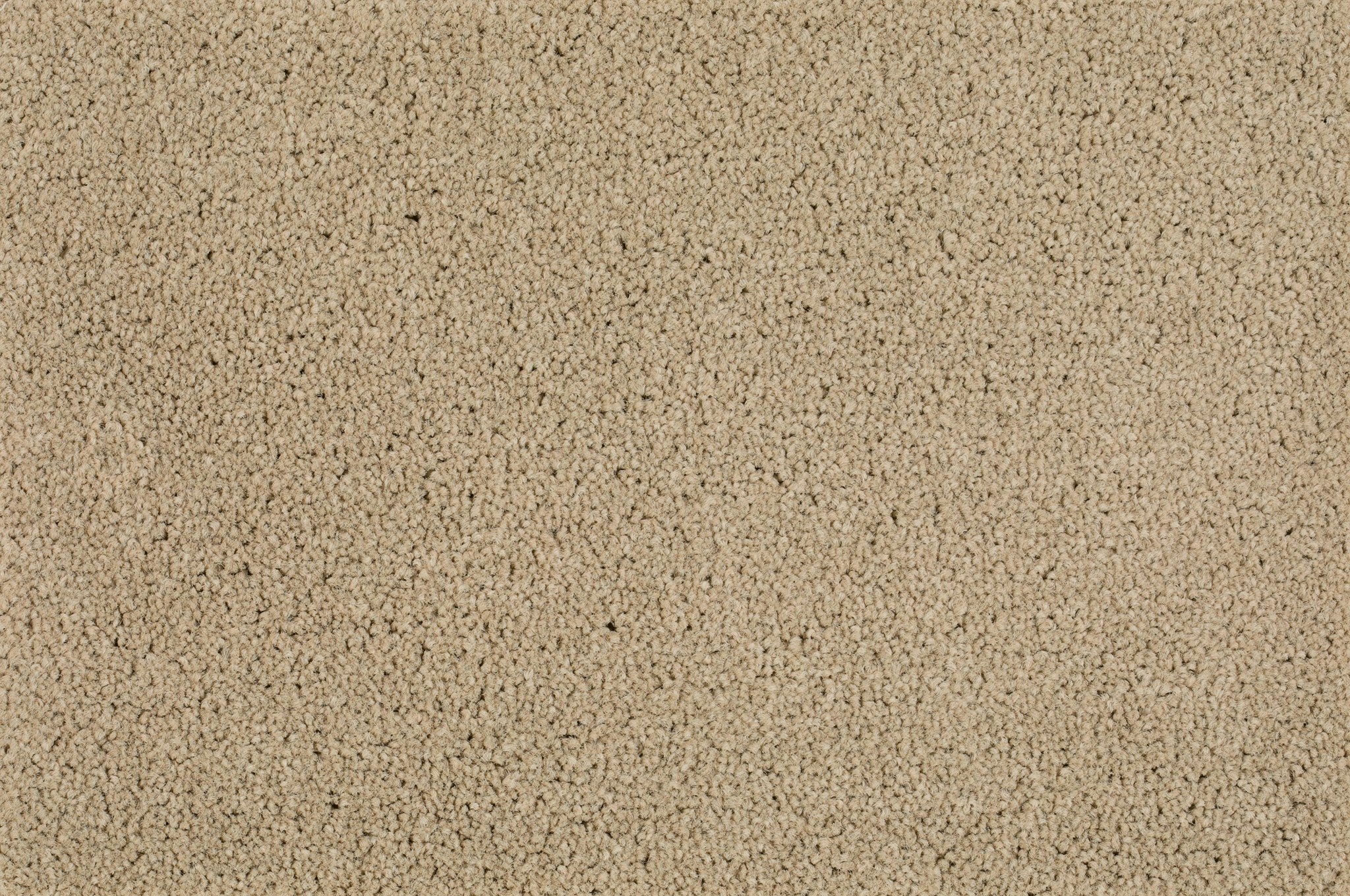 Afbeelding van Format 25 Tapijt LEVEL 400cm Kleur 72