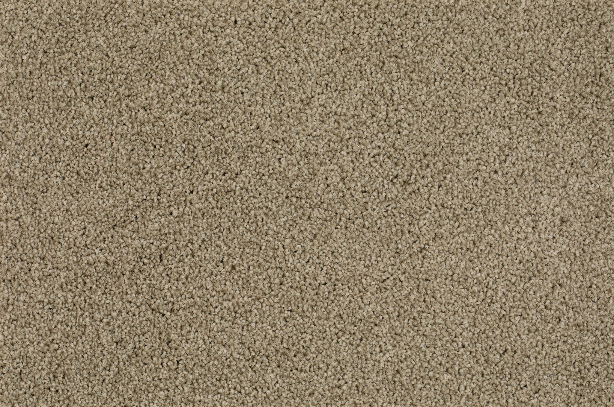 Afbeelding van Format 25 Tapijt LEVEL 400cm Kleur 71