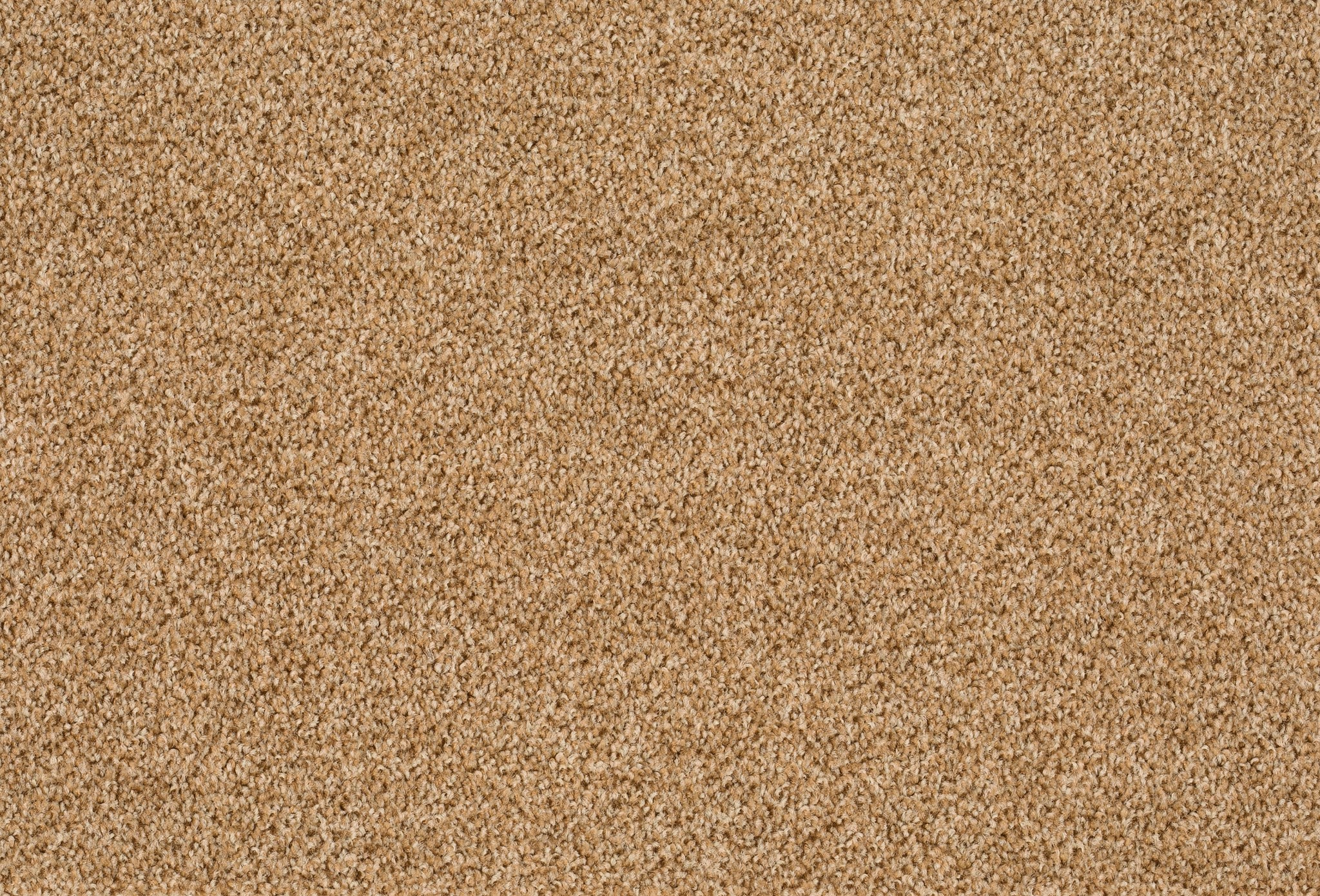 Afbeelding van Format 25 Tapijt FAIR 400cm Kleur 231