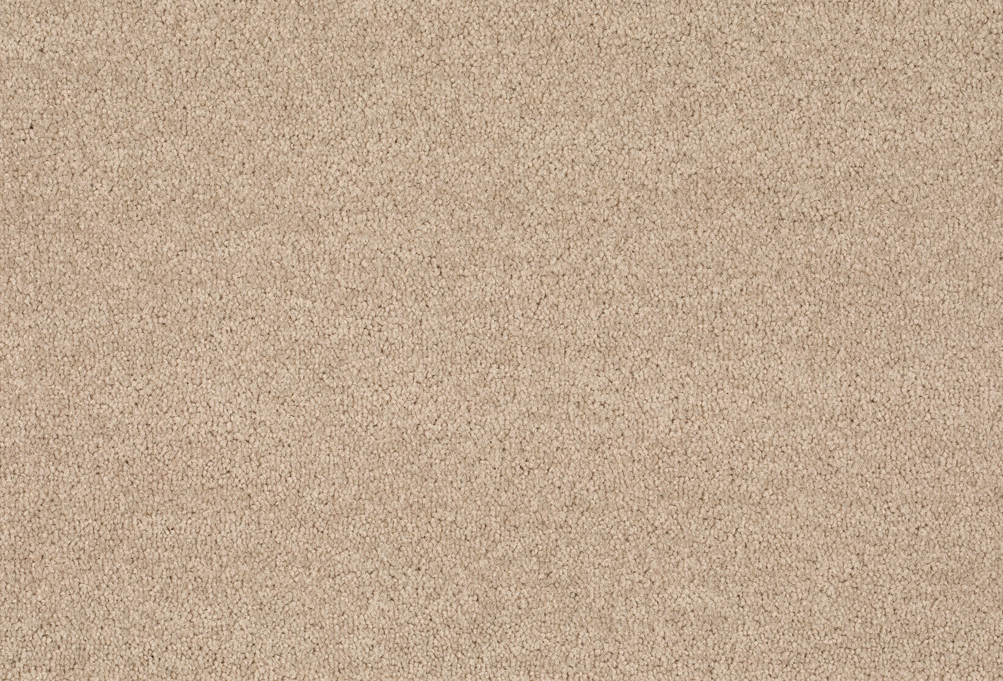 Afbeelding van Format 25 Tapijt COSARO 400cm Kleur 810