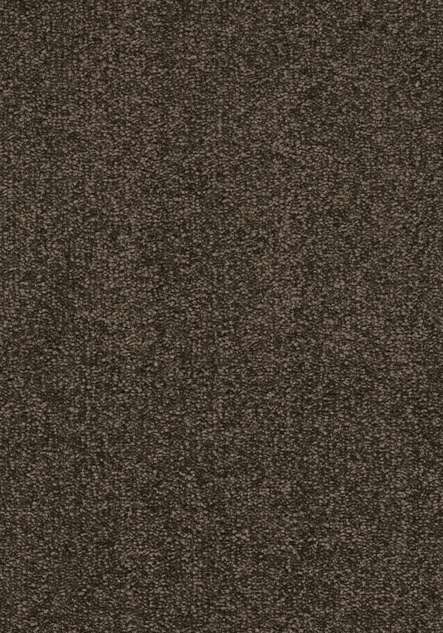 Afbeelding van Balance 25 Tapijt SMARAGD 500cm Kleur 94