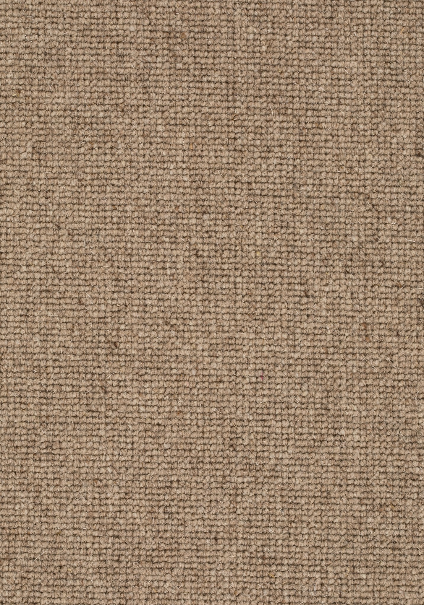Afbeelding van Balance 25 Tapijt FARO 500cm Kleur 137