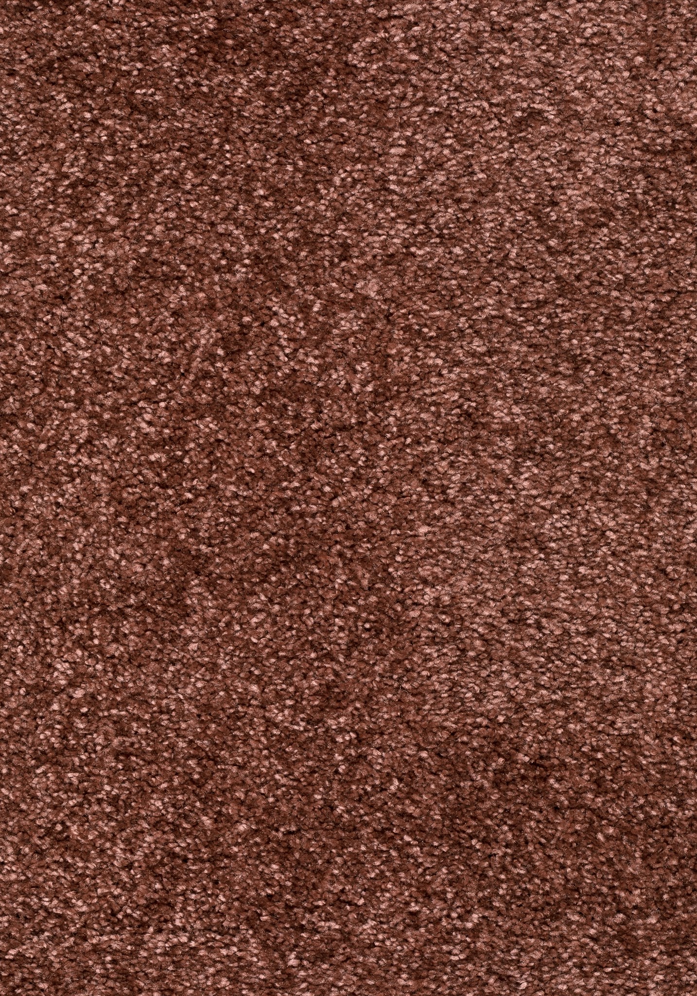 Afbeelding van Balance 25 Tapijt SINFONIE 400cm Kleur 18