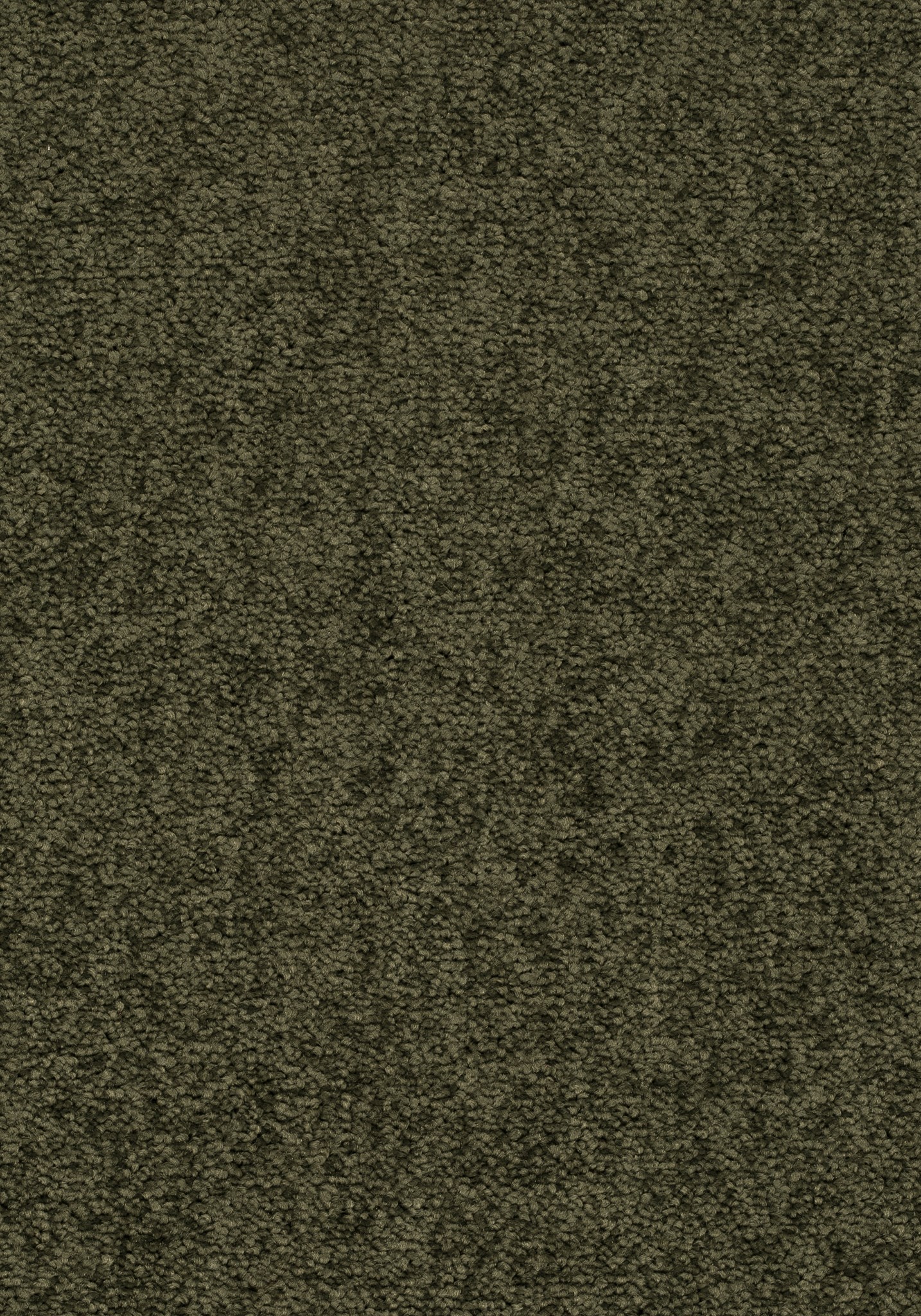 Afbeelding van Balance 25 Tapijt ELYSEE 400cm Kleur 493 x 400