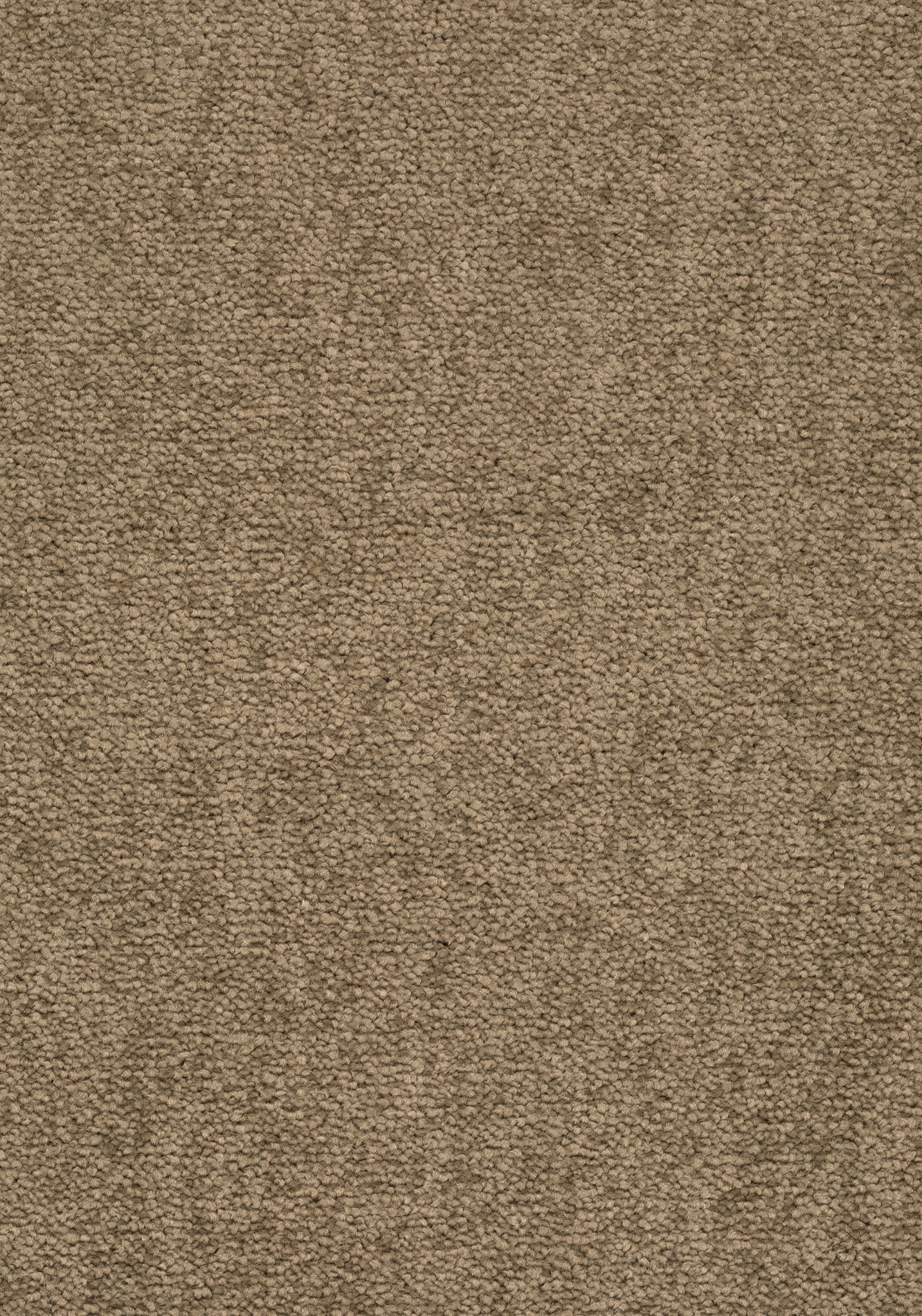 Afbeelding van Balance 25 Tapijt ELYSEE 500cm Kleur 430 x 500