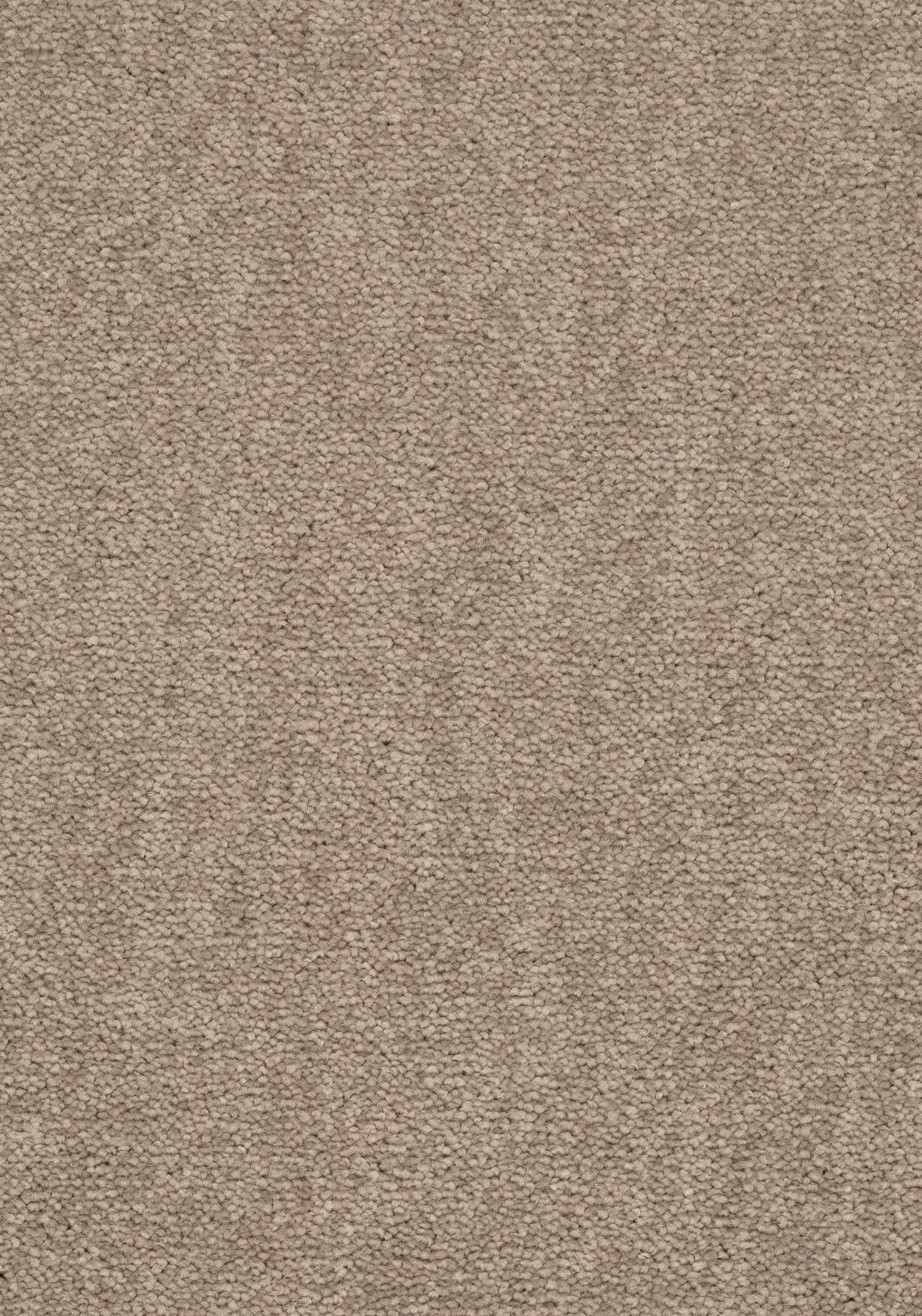 Afbeelding van Balance 25 Tapijt ELYSEE 500cm Kleur 451 x 500
