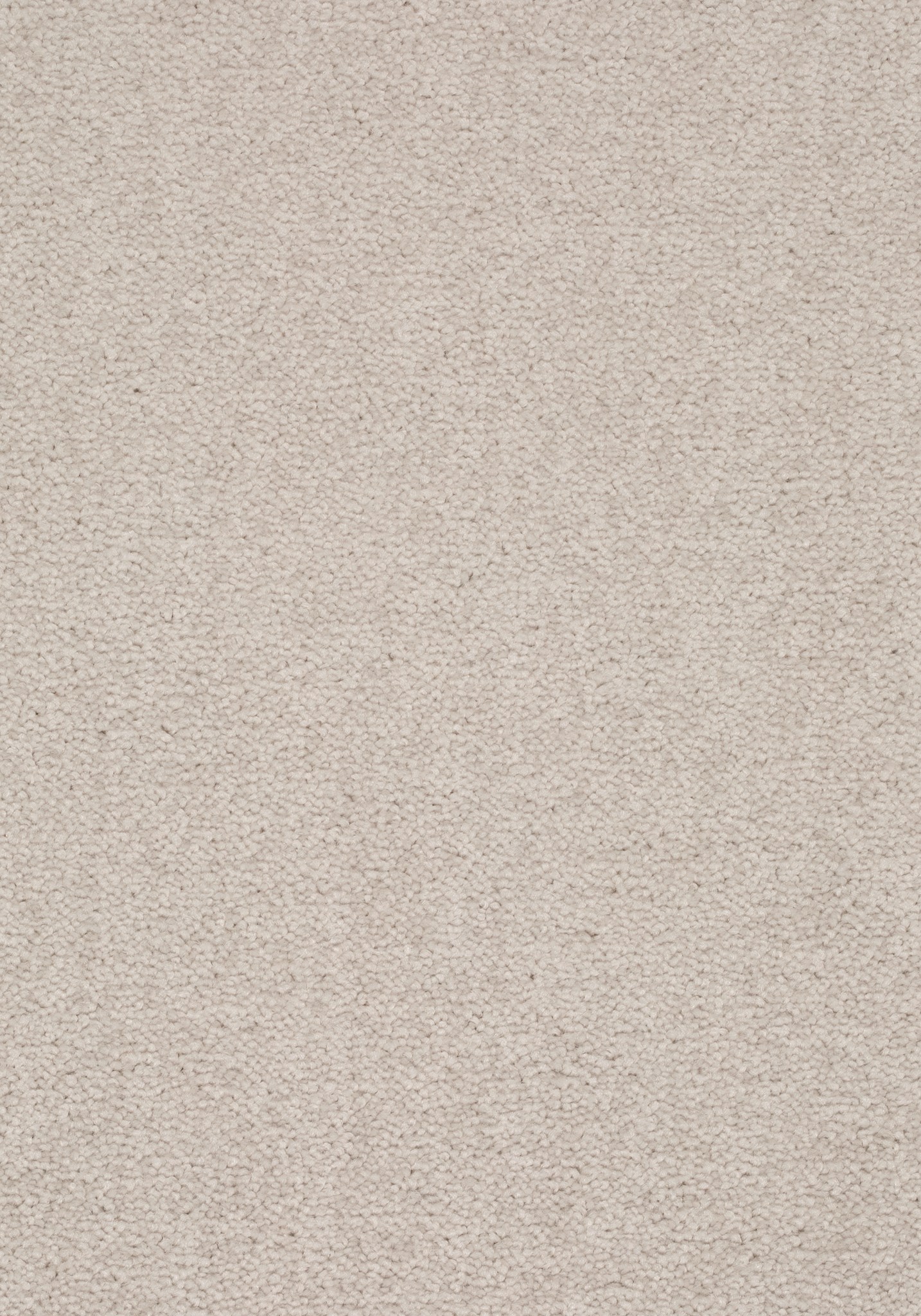 Afbeelding van Balance 25 Tapijt ELYSEE 500cm Kleur 890 x 500
