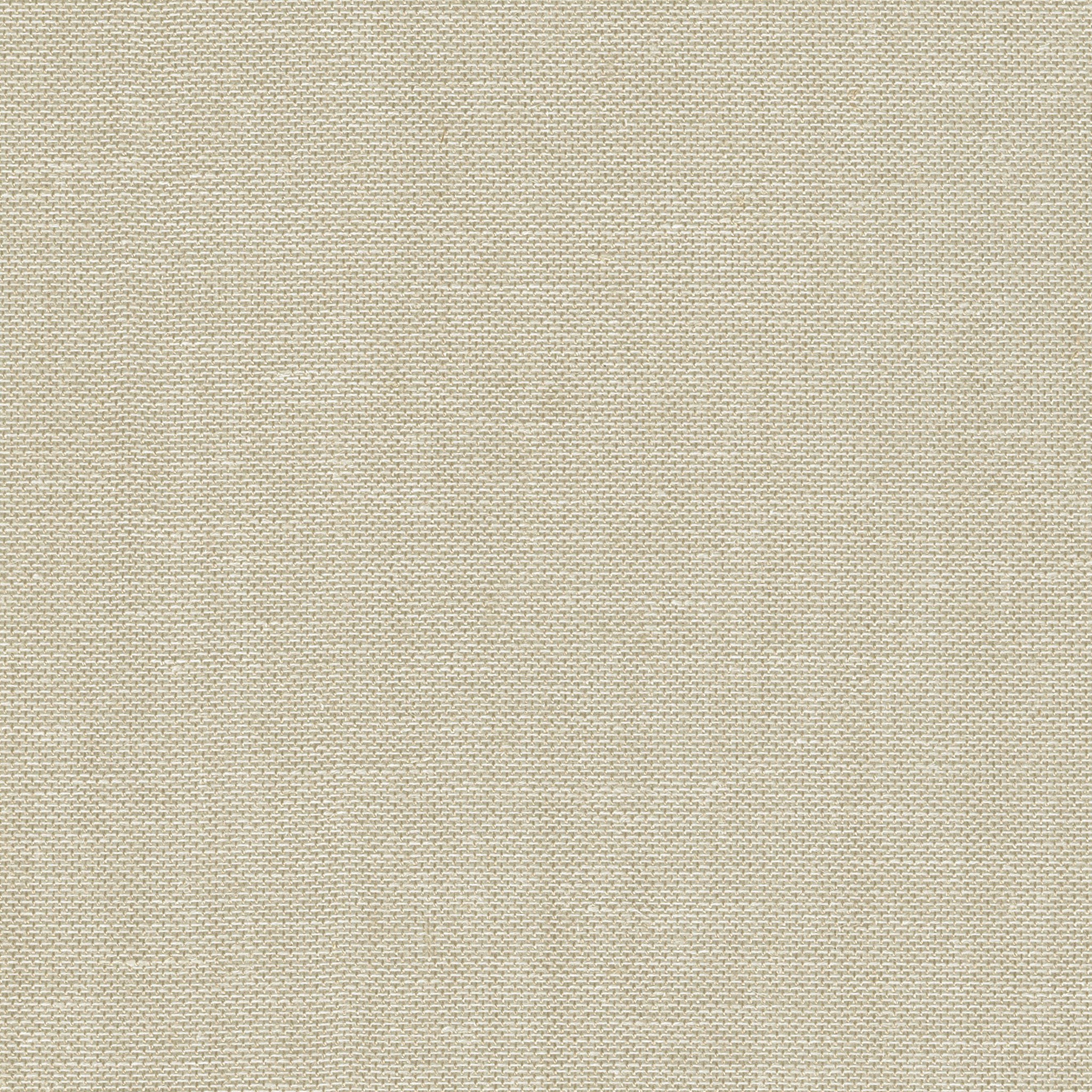Afbeelding van Gordijnstof Pepe natur 320 A 40 x 20 | 623316 kleur 020