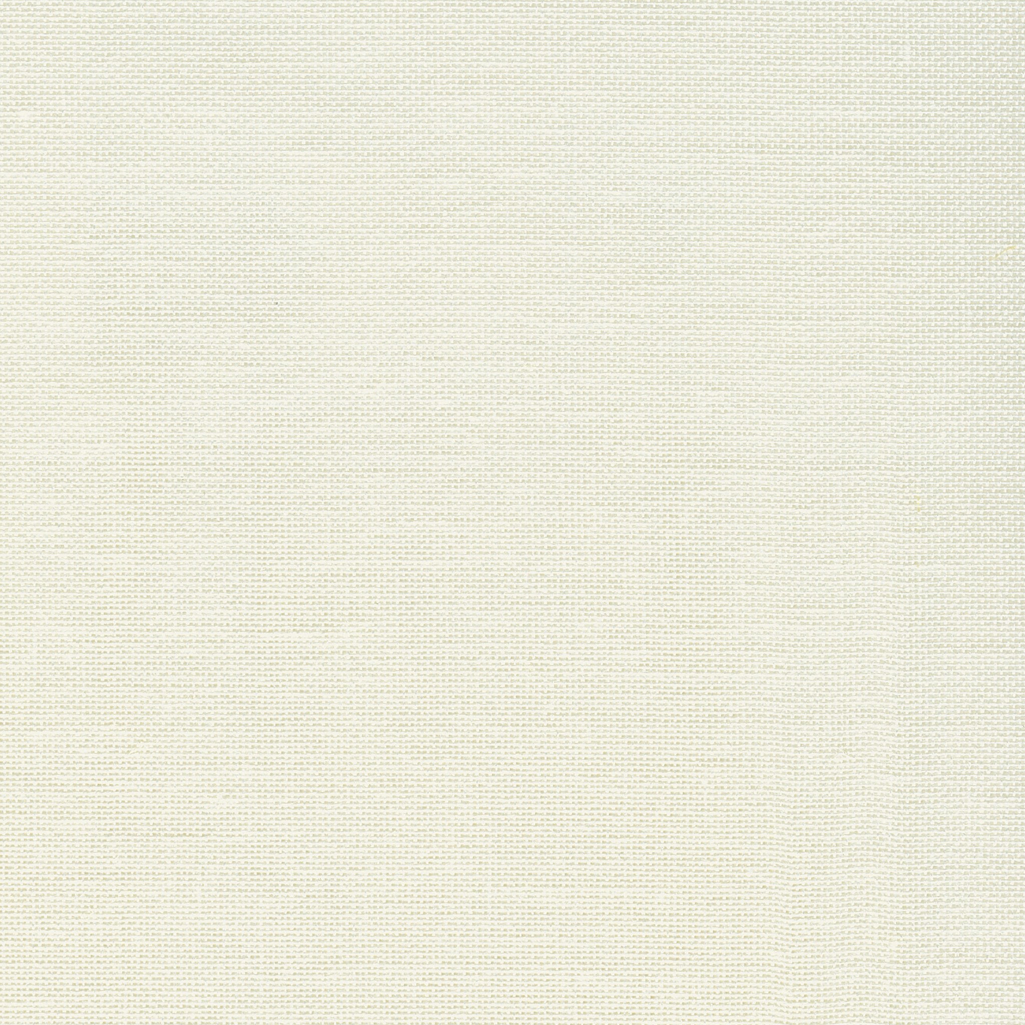 Afbeelding van Gordijnstof Pepe offwhite 320 A 40 x 20 | 623316 kleur 000