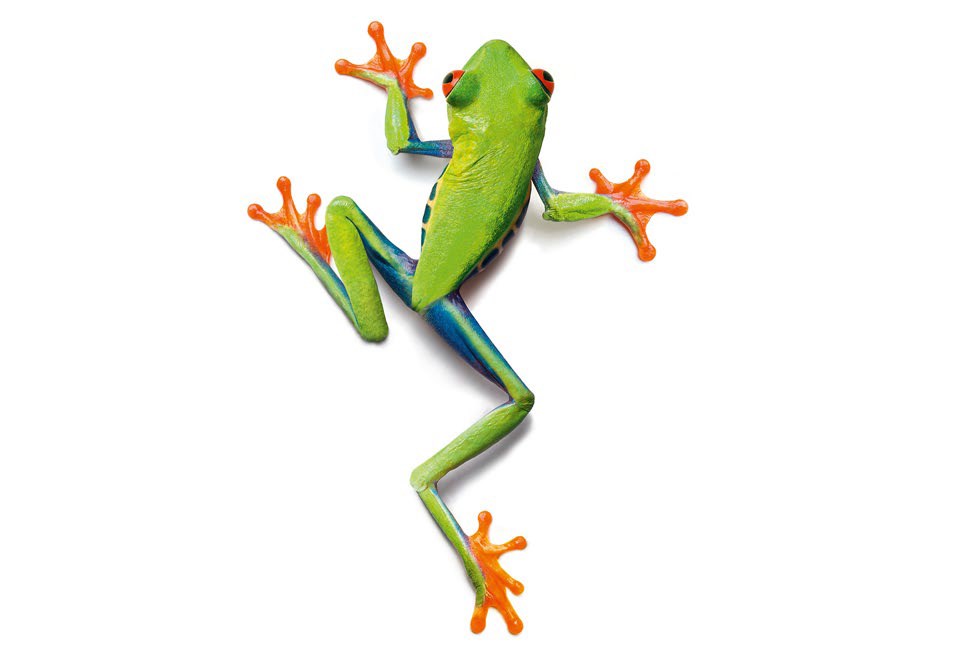 Afbeelding van JOKA Fotobehang P188 400 cm br x 267 cm hg 200 grams vlies