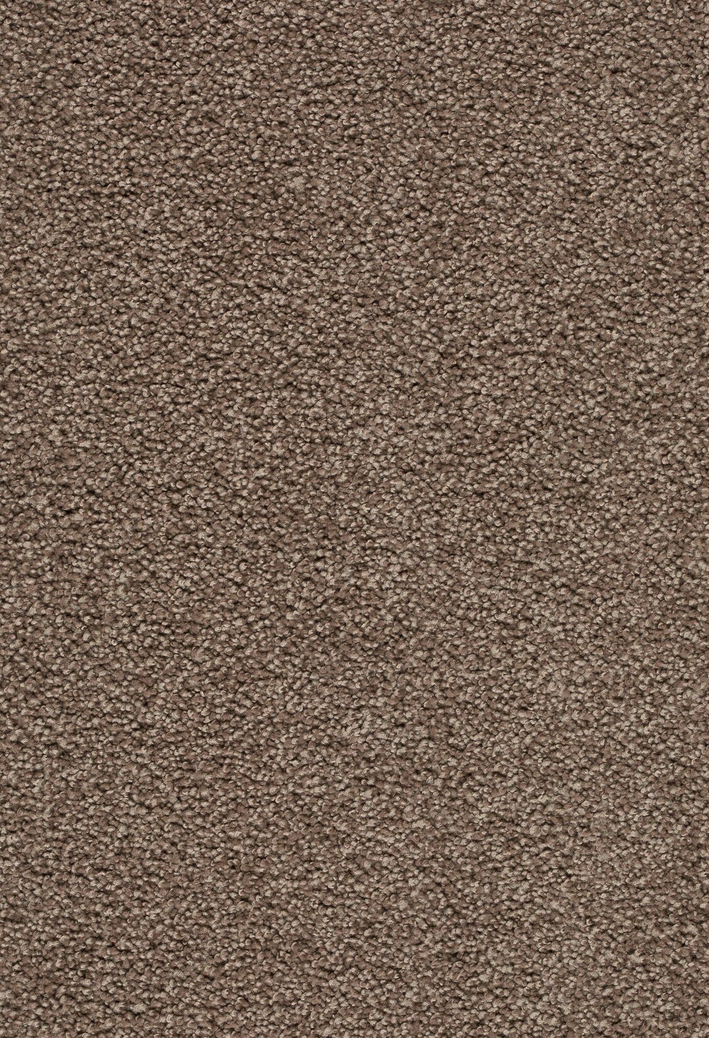 Afbeelding van Trend 026 Tapijt ZIRKONIA 500 cm Kleur 420 x 500,0