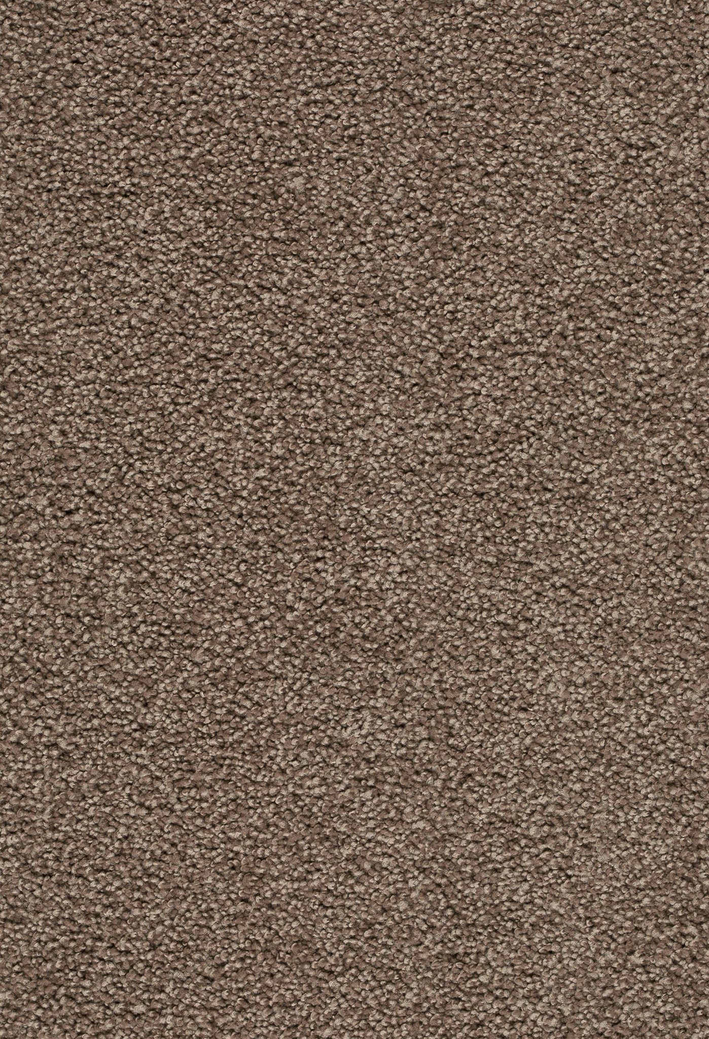 Afbeelding van Trend 026 Tapijt ZIRKONIA 400 cm Kleur 420 x 400,0
