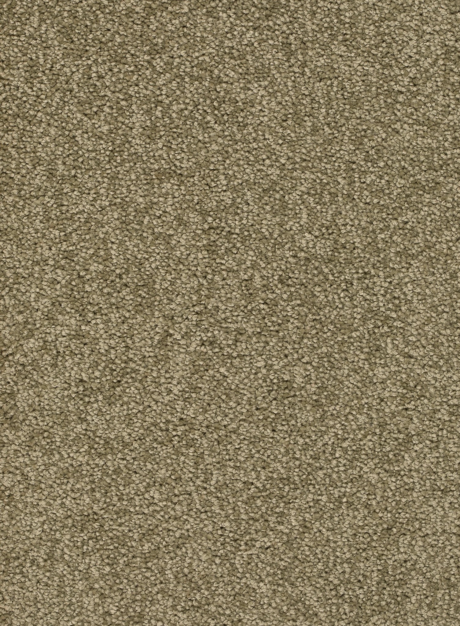 Afbeelding van Trend 026 Tapijt ALAMO 400 cm Kleur 24 x 400,0
