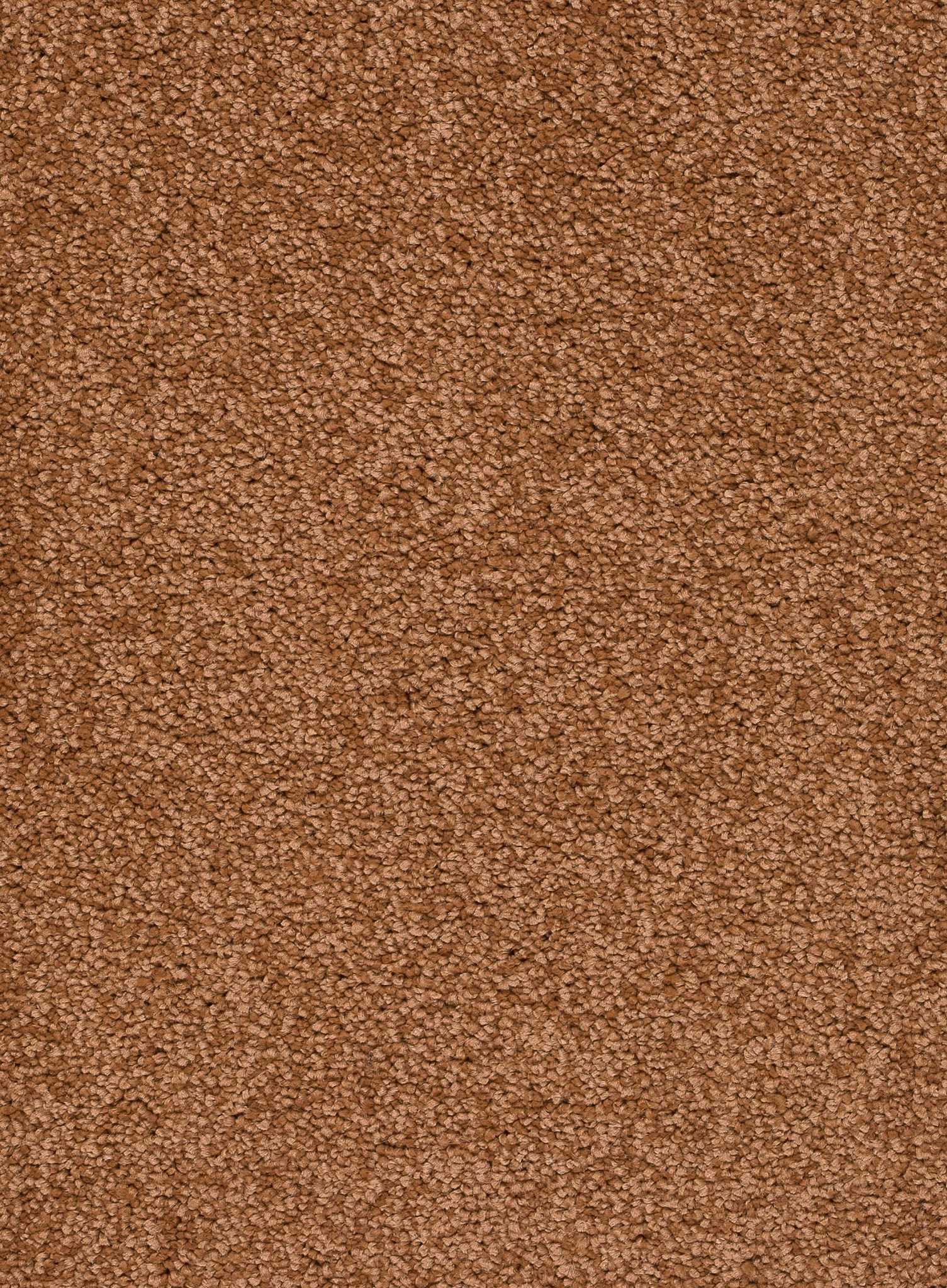 Afbeelding van Trend 026 Tapijt ALAMO 400 cm Kleur 84 x 400,0