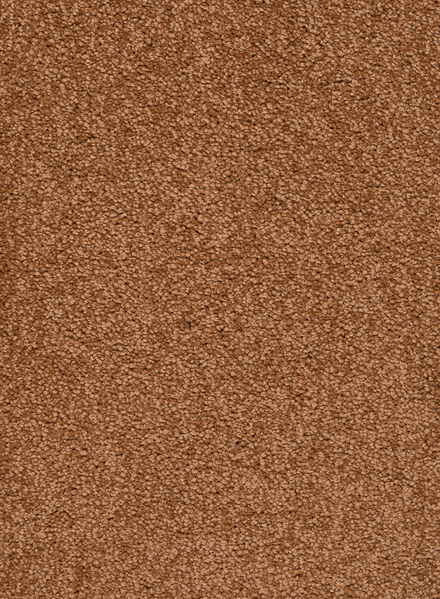 Afbeelding van Trend 026 Tapijt ALAMO 400 cm Kleur 84 x 400,0