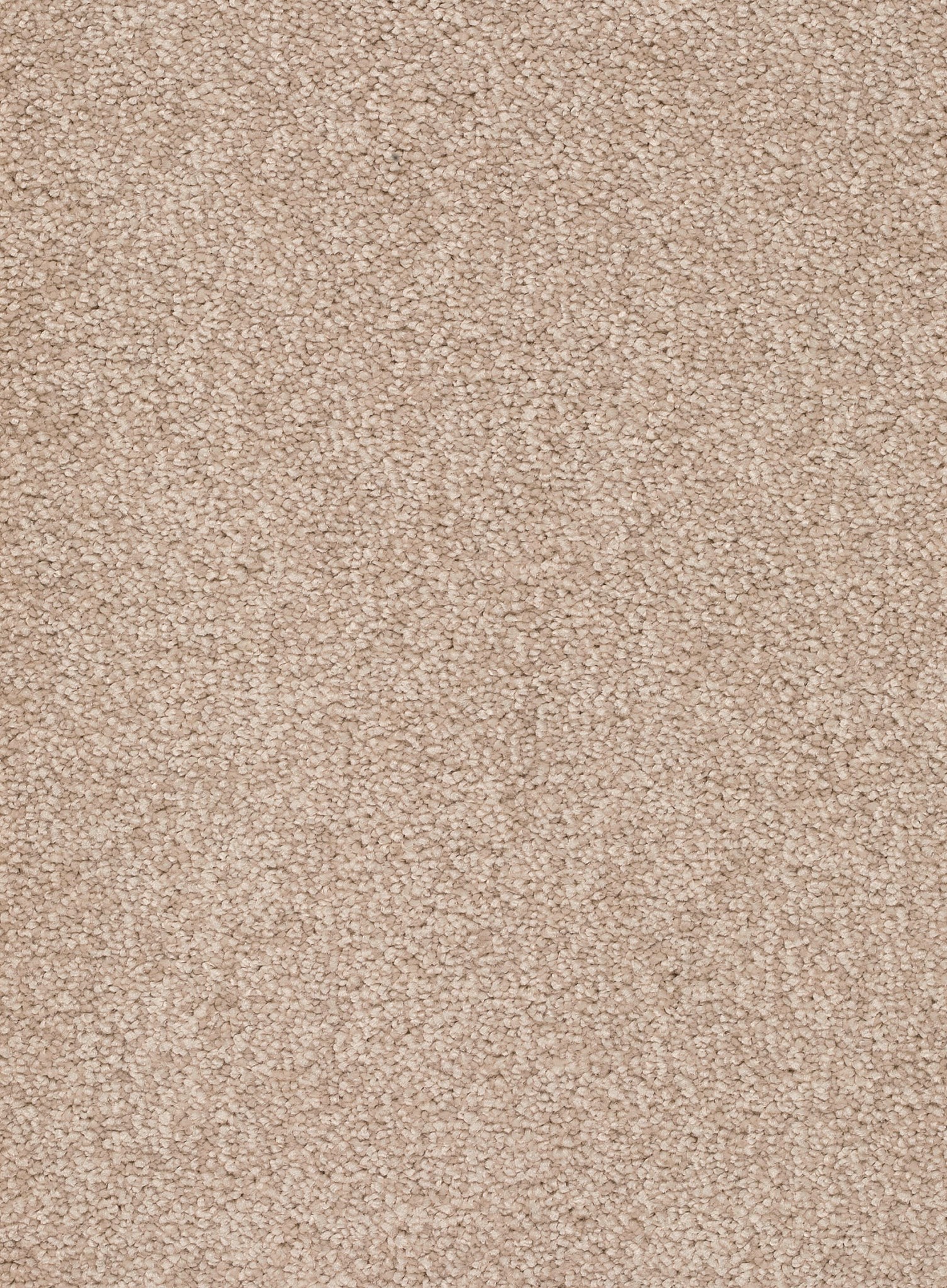 Afbeelding van Trend 026 Tapijt ALAMO 500 cm Kleur 36 x 500,0
