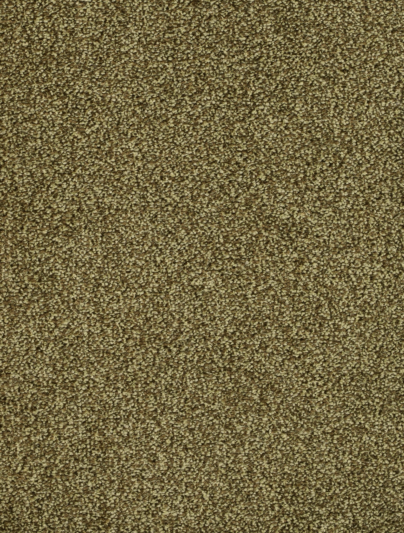 Afbeelding van Trend 026 Tapijt DERBY 400cm Kleur 24 x 400,0