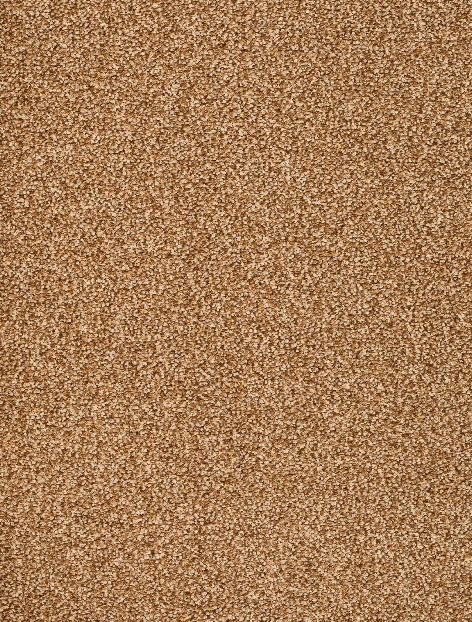 Afbeelding van Trend 026 Tapijt DERBY 400cm Kleur 36 x 400,0