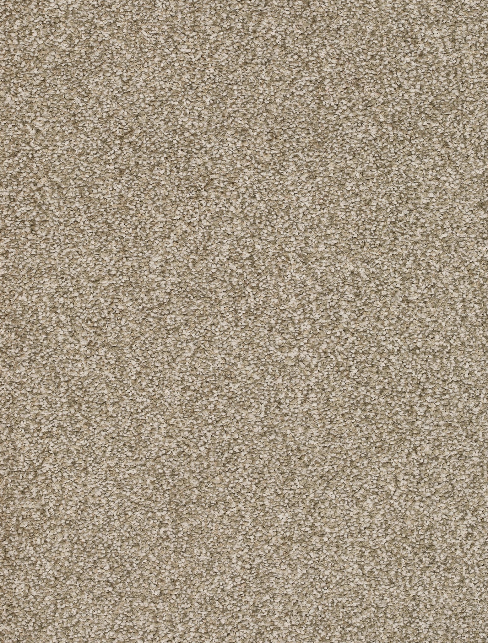Afbeelding van Trend 026 Tapijt DERBY 400cm Kleur 39 x 400,0