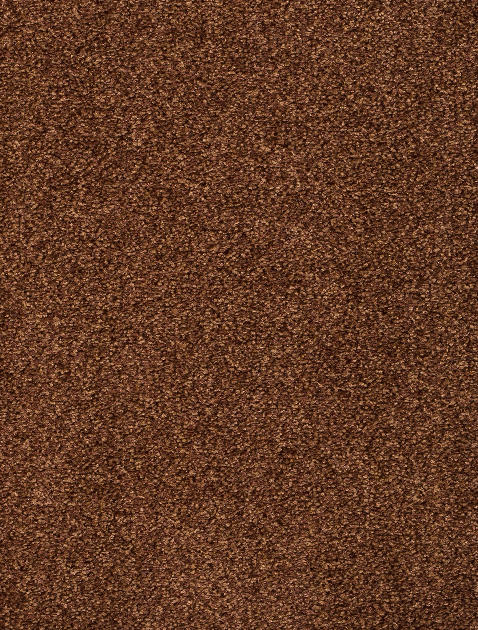 Afbeelding van Trend 026 Tapijt DERBY 400cm Kleur 40 x 400,0