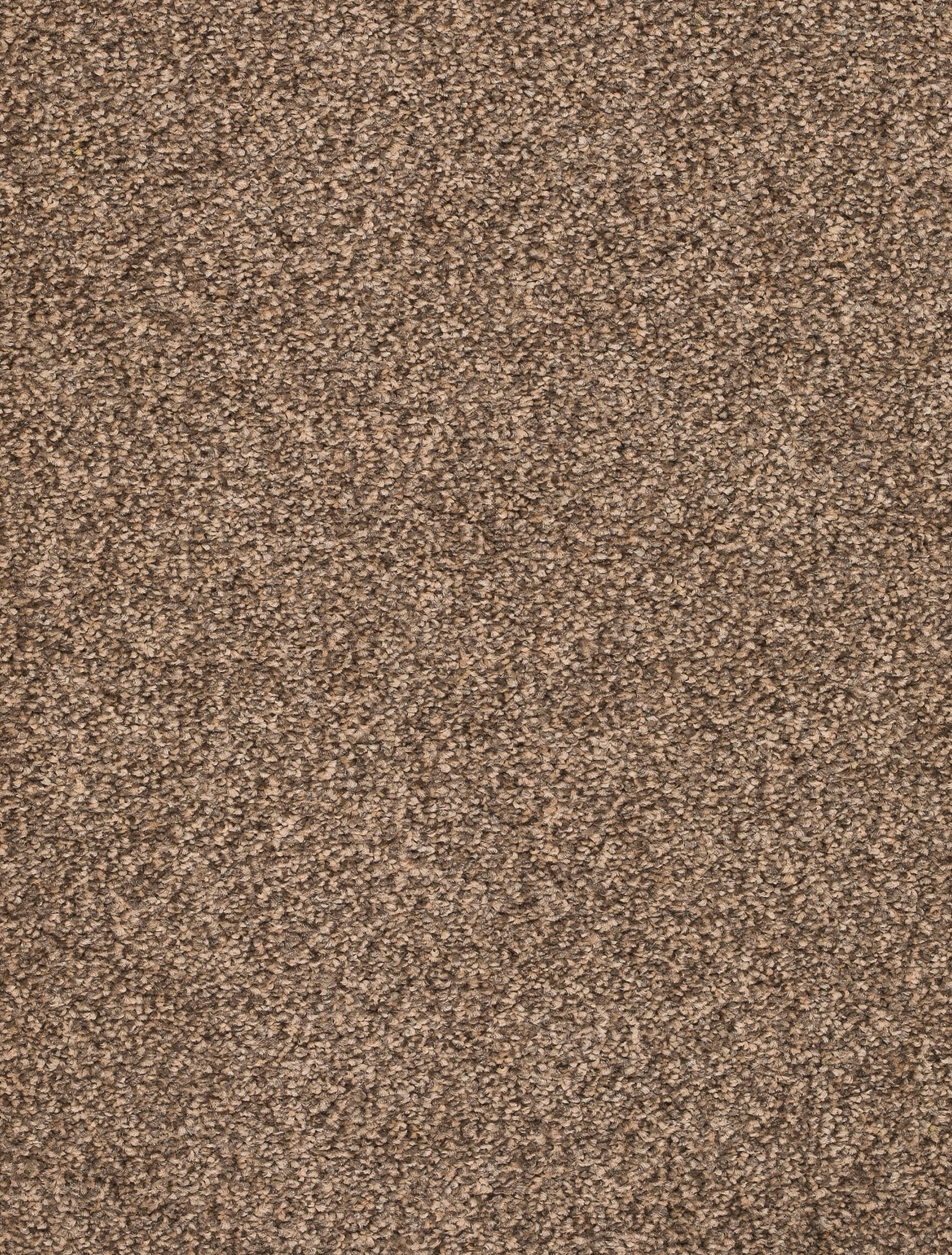 Afbeelding van Trend 026 Tapijt DERBY 400cm Kleur 43 x 400,0