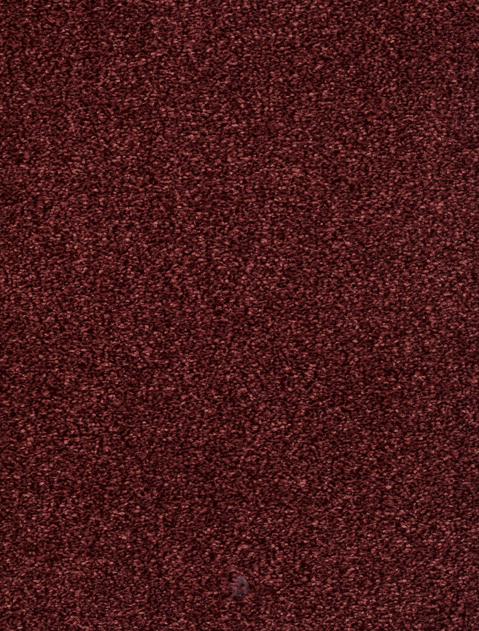 Afbeelding van Trend 026 Tapijt DERBY 400cm Kleur 66 x 400,0