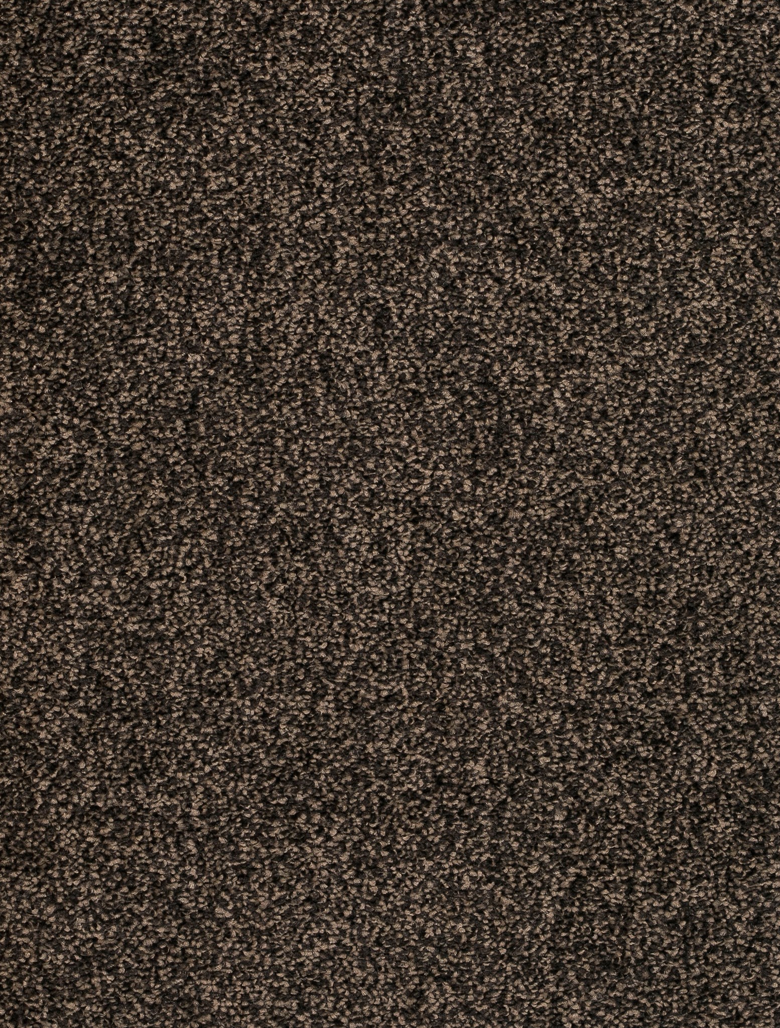 Afbeelding van Trend 026 Tapijt DERBY 400cm Kleur 94 x 400,0
