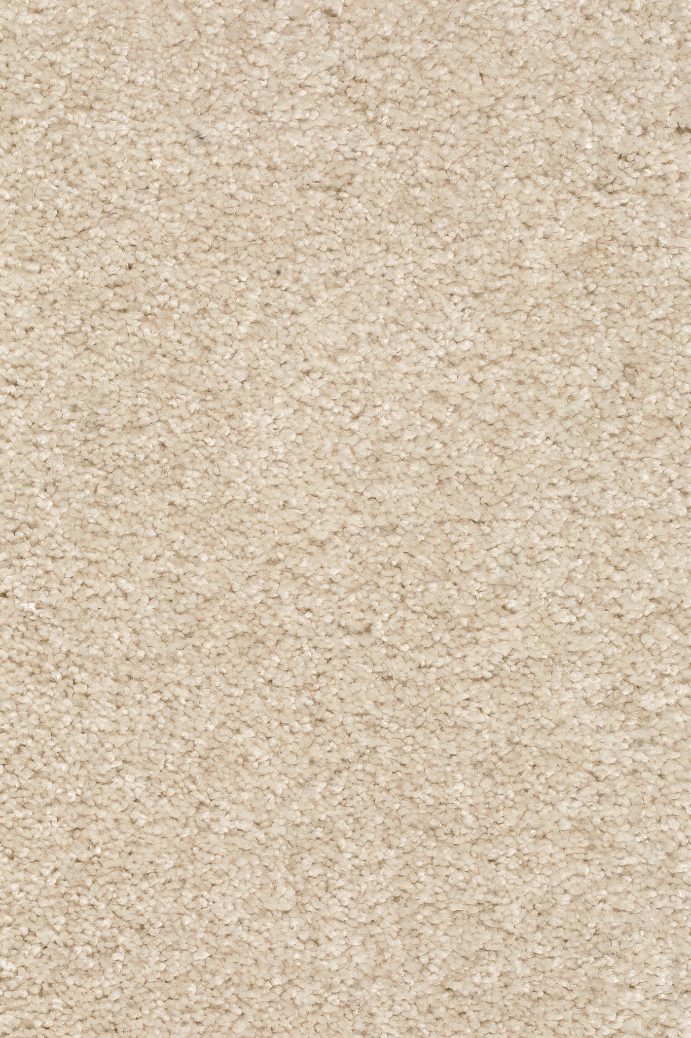 Afbeelding van Trend 026 Tapijt DOLCE 400 cm Kleur 04 x 400,0