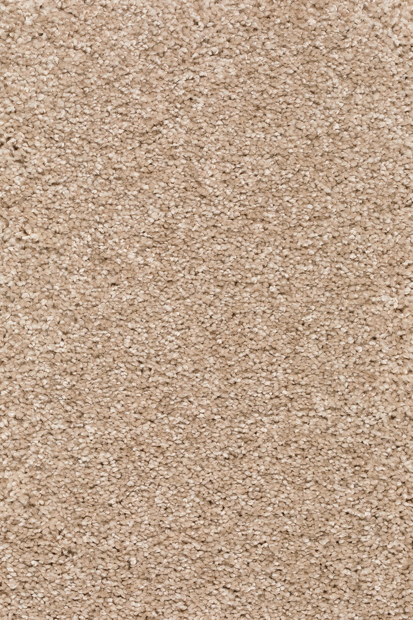 Afbeelding van Trend 026 Tapijt DOLCE 400 cm Kleur 30 x 400,0
