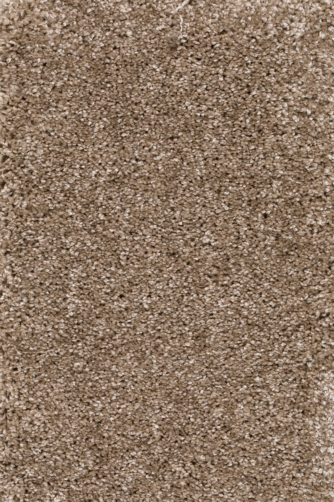 Afbeelding van Trend 026 Tapijt DOLCE 400 cm Kleur 35 x 400,0