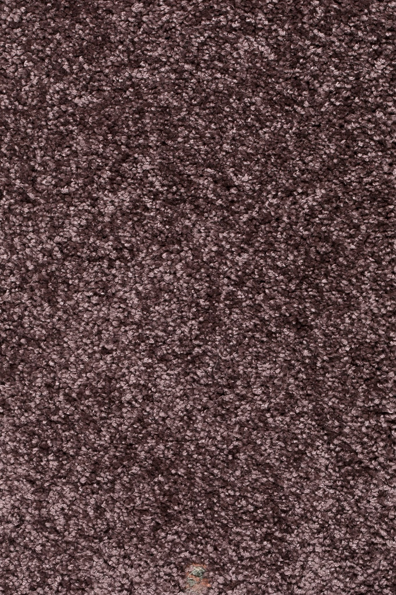 Afbeelding van Trend 026 Tapijt DOLCE 400 cm Kleur 41 x 400,0