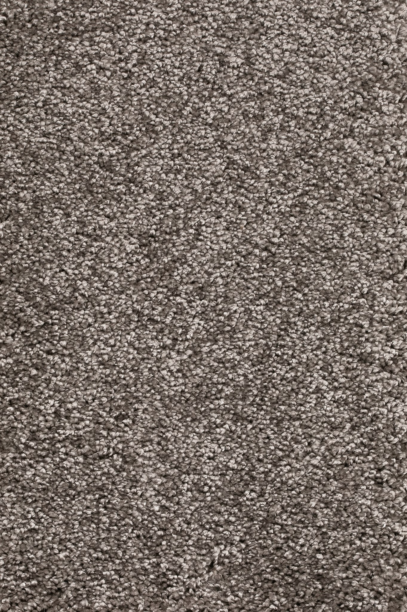 Afbeelding van Trend 026 Tapijt DOLCE 400 cm Kleur 49 x 400,0