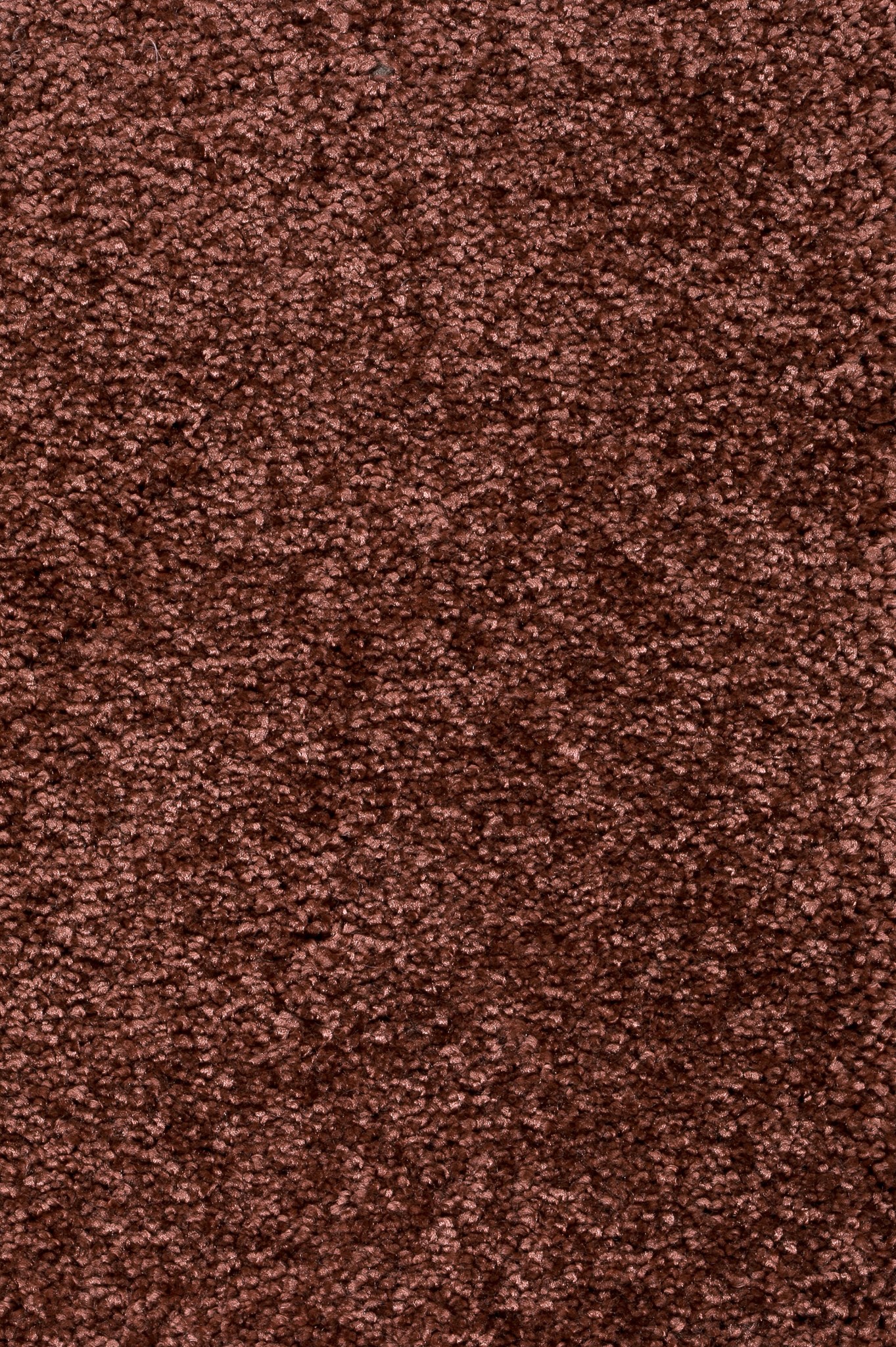 Afbeelding van Trend 026 Tapijt DOLCE 400 cm Kleur 81 x 400,0