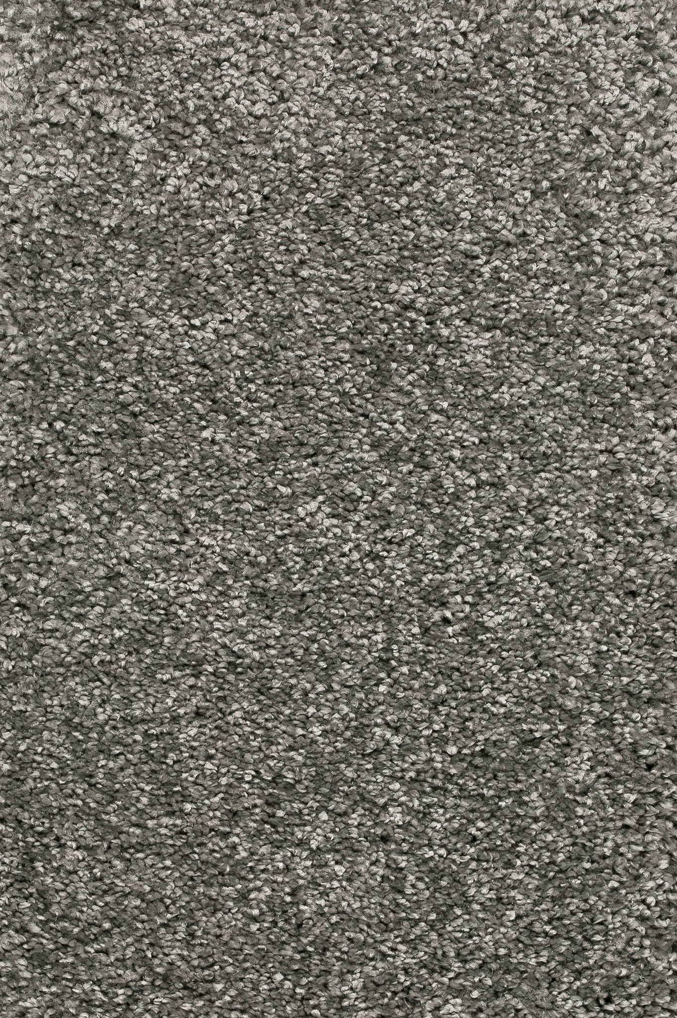 Afbeelding van Trend 026 Tapijt DOLCE 400 cm Kleur 92 x 400,0