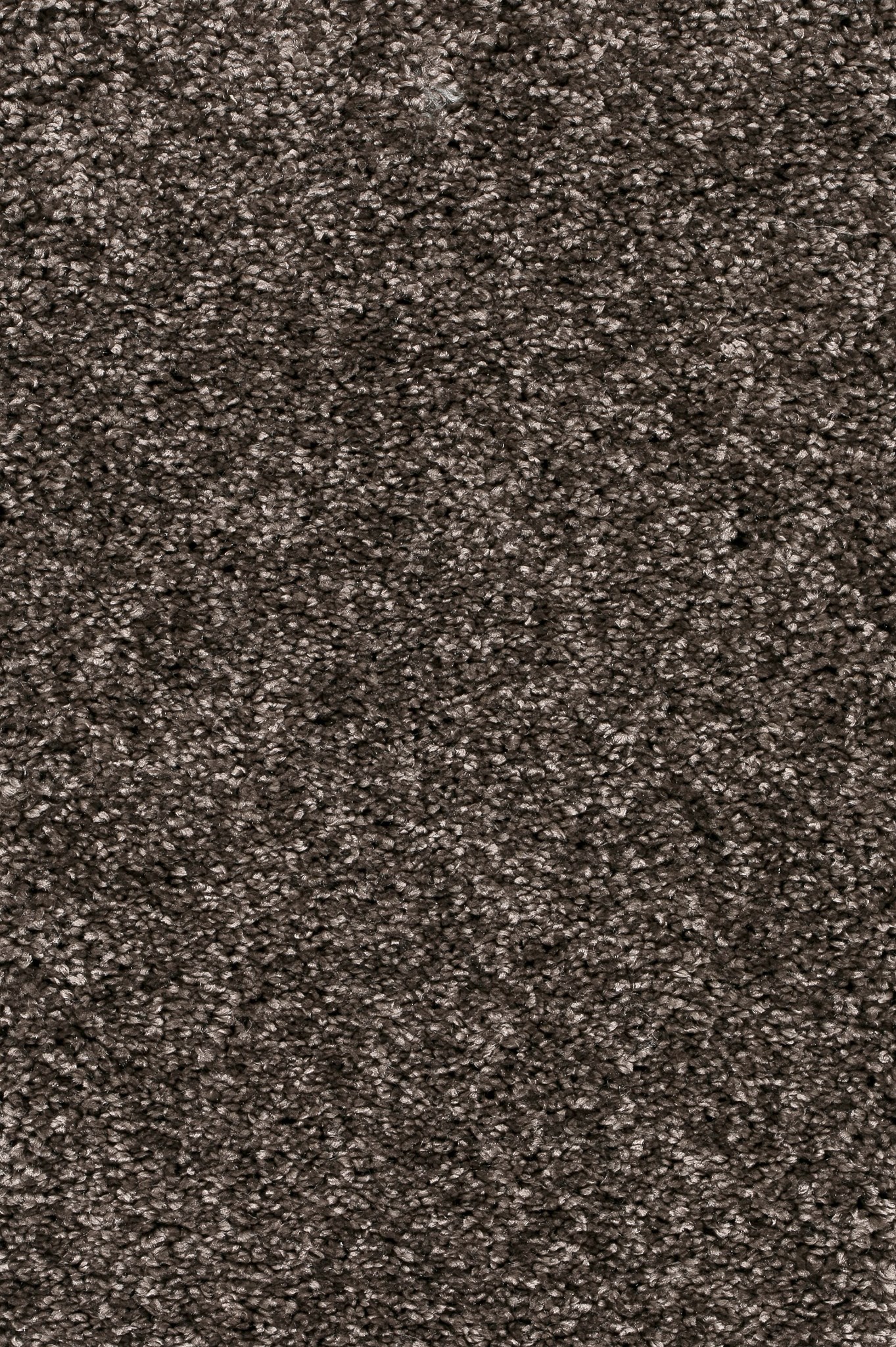 Afbeelding van Trend 026 Tapijt DOLCE 500 cm Kleur 40 x 500,0