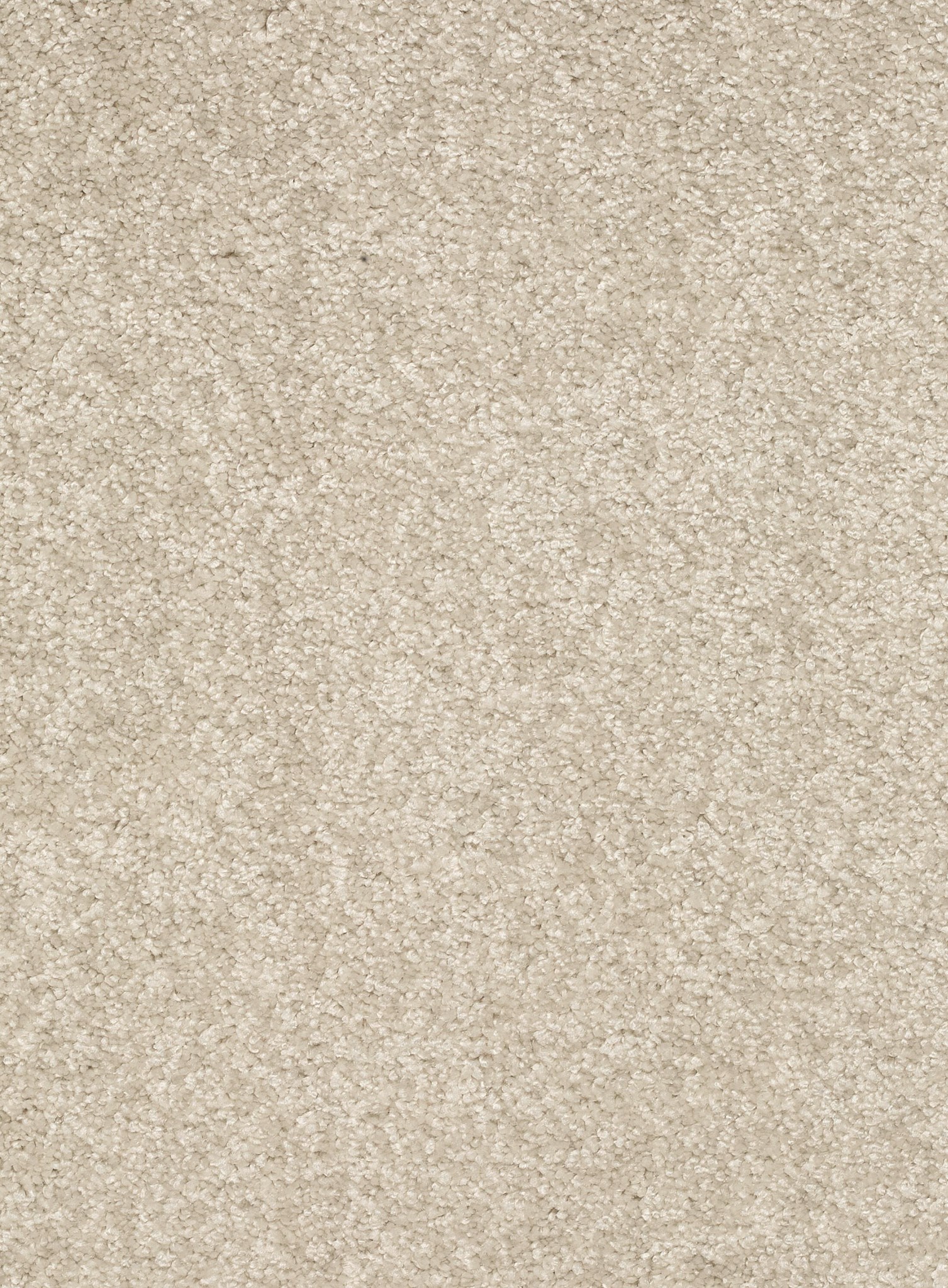 Afbeelding van Trend 026 Tapijt FEELING 400 cm Kleur 03 x 400,0
