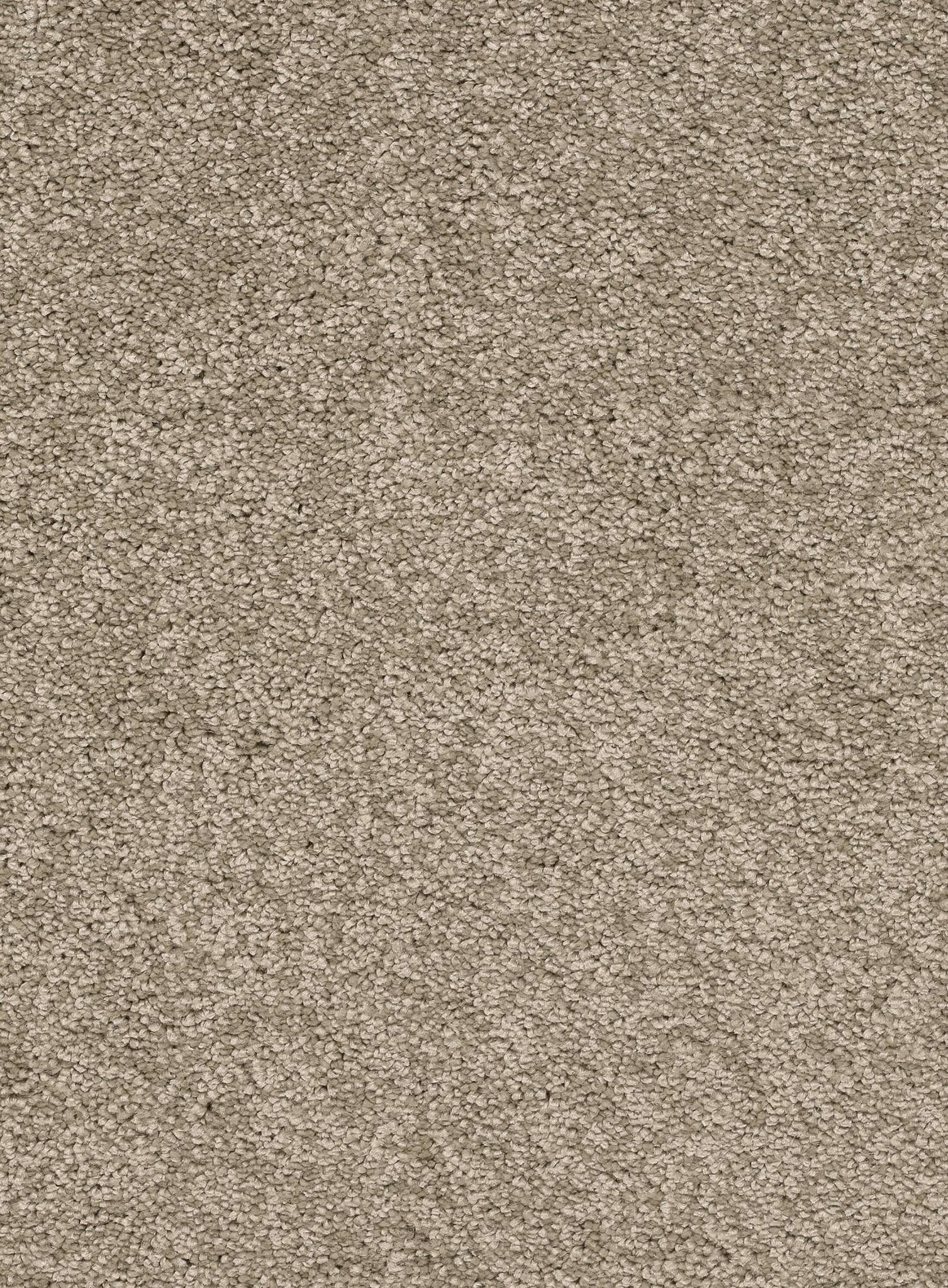 Afbeelding van Trend 026 Tapijt FEELING 400 cm Kleur 32 x 400,0