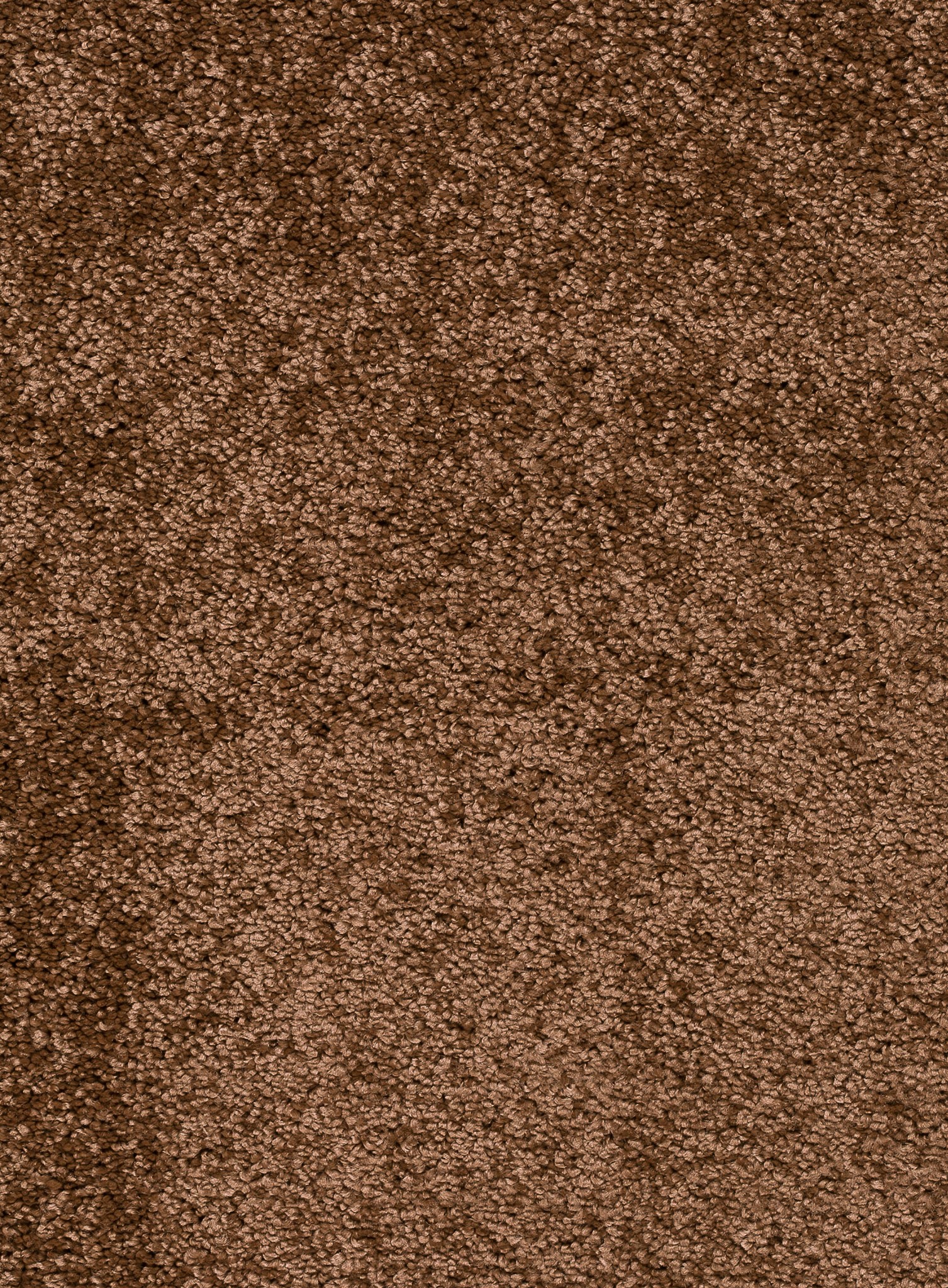 Afbeelding van Trend 026 Tapijt FEELING 400 cm Kleur 48 x 400,0