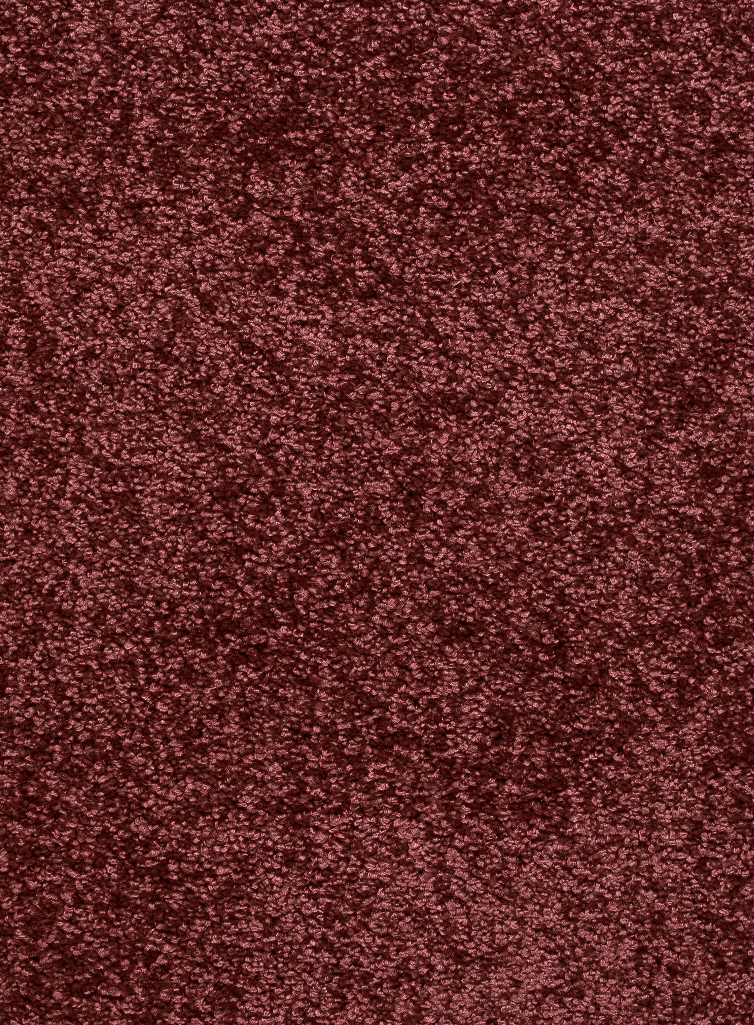 Afbeelding van Trend 026 Tapijt FEELING 500 cm Kleur 18 x 500,0