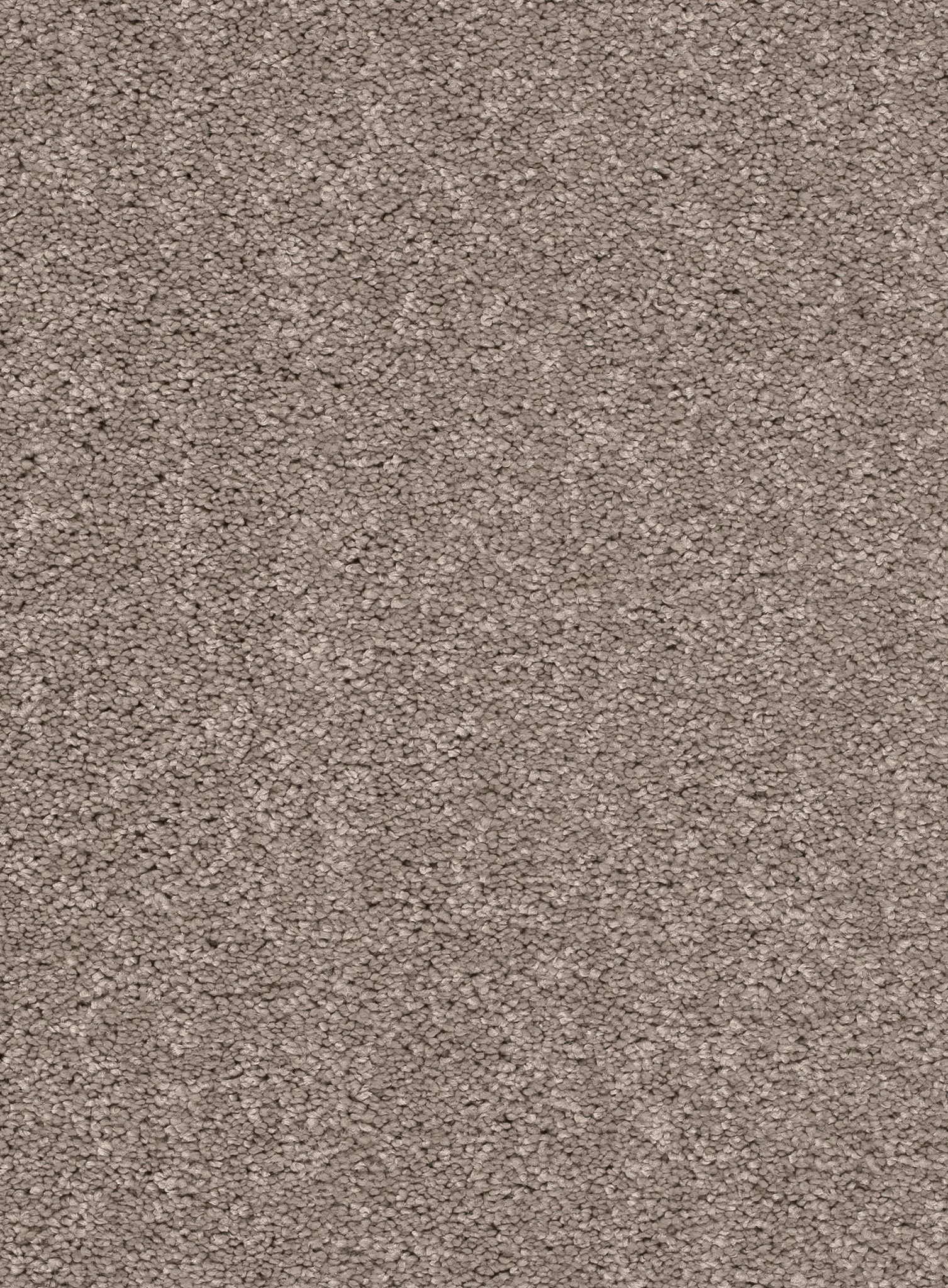 Afbeelding van Trend 026 Tapijt FEELING 500 cm Kleur 33 x 500,0