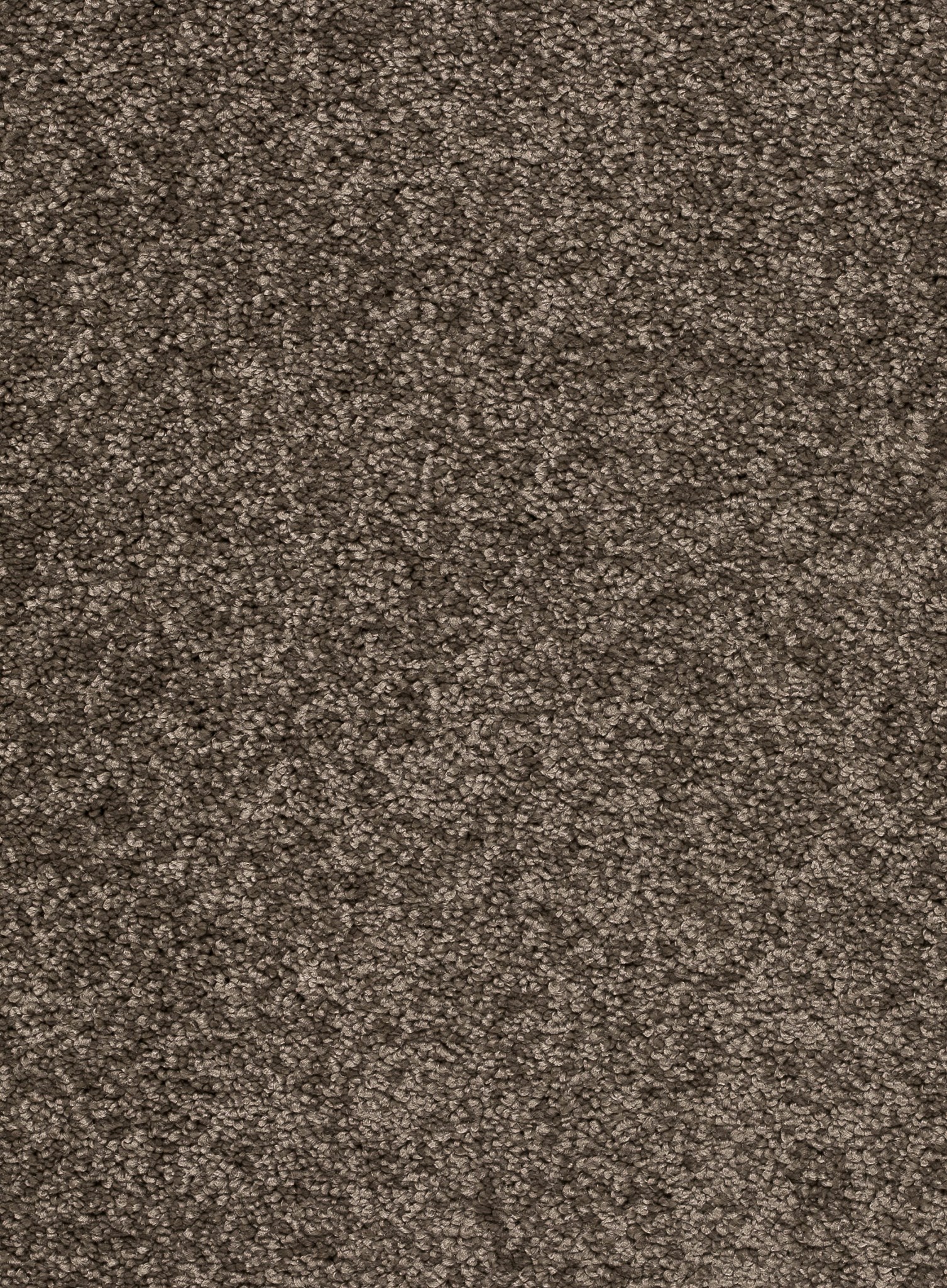 Afbeelding van Trend 026 Tapijt FEELING 500 cm Kleur 44 x 500,0