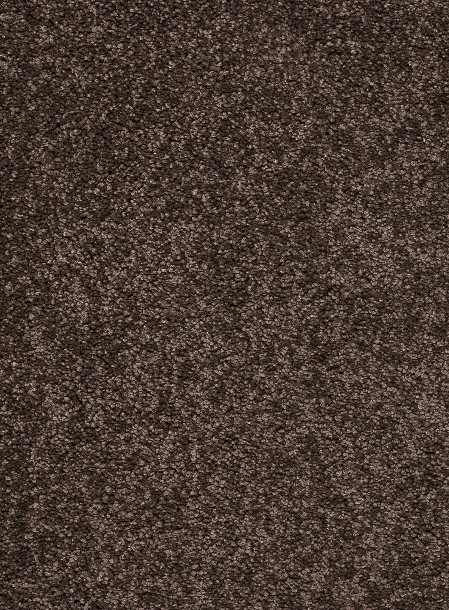 Afbeelding van Trend 026 Tapijt FEELING 500 cm Kleur 45 x 500,0