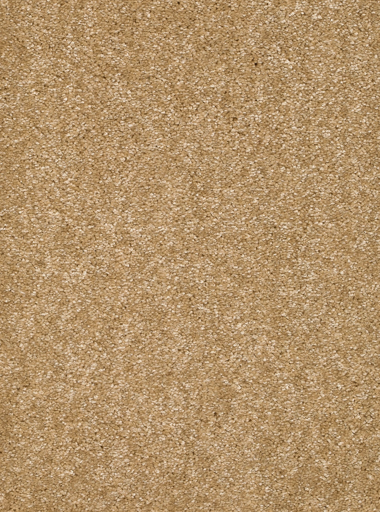 Afbeelding van Trend 026 Tapijt LUNA 500cm Kleur 51 x 500,0