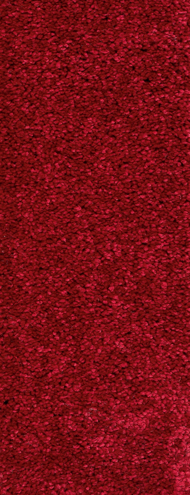 Afbeelding van Trend 026 Tapijt MONTEGO 400 cm Kleur 20 x 400,0