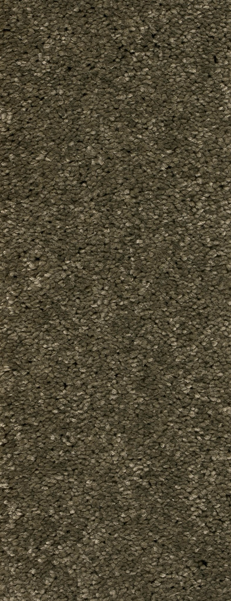 Afbeelding van Trend 026 Tapijt MONTEGO 400 cm Kleur 240 x 400,0