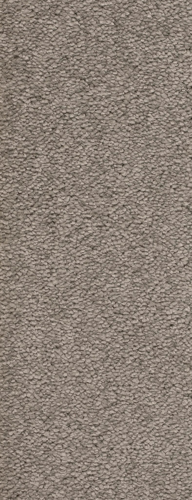 Afbeelding van Trend 026 Tapijt MONTEGO 400 cm Kleur 273 x 400,0