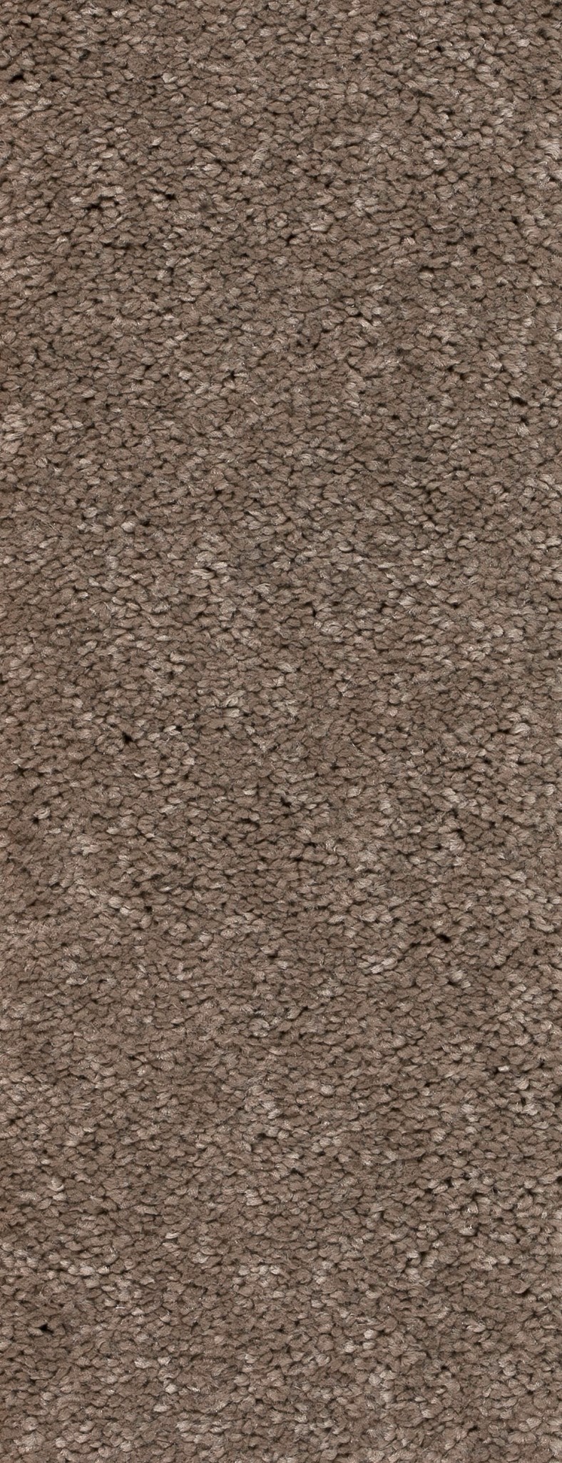 Afbeelding van Trend 026 Tapijt MONTEGO 400 cm Kleur 274 x 400,0