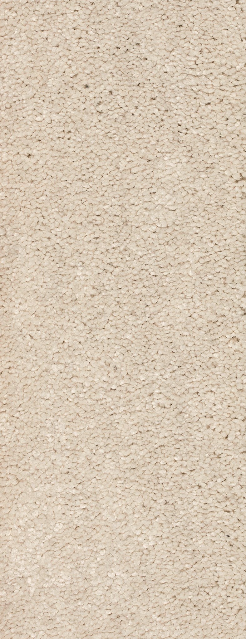 Afbeelding van Trend 026 Tapijt MONTEGO 400 cm Kleur 69 x 400,0