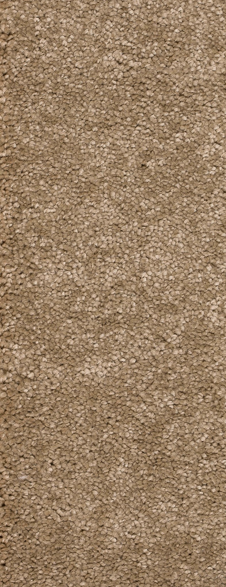 Afbeelding van Trend 026 Tapijt MONTEGO 400 cm Kleur 72 x 400,0